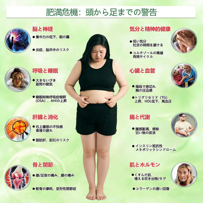🐱内臓脂肪対策サポート 👨‍⚕️👩‍⚕️GeeLemon®＆NAD+ 8-in-1 ナノ強化フォーミュラ — 肥満、肌のたるみ、糖尿病、睡眠時無呼吸症候群、関節の悩み、その他健康上の懸念にアプローチ🛍️