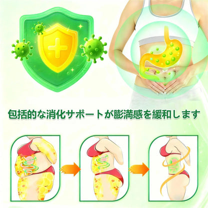 🐱内臓脂肪対策サポート 👨‍⚕️👩‍⚕️GeeLemon®＆NAD+ 8-in-1 ナノ強化フォーミュラ — 肥満、肌のたるみ、糖尿病、睡眠時無呼吸症候群、関節の悩み、その他健康上の懸念にアプローチ🛍️