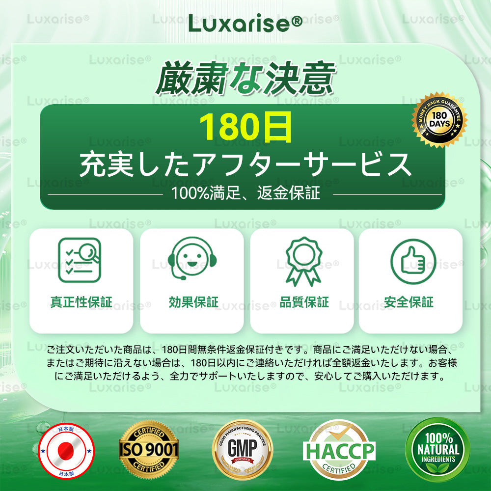 🧃公式ストア Luxarise® モリンガ＆ベルベリン 10-IN-1 高機能ナノマイクロニードルパッチ（1日1回、7日で変化を実感） 肥満・糖尿病・睡眠時無呼吸症候群・関節の悩み向け