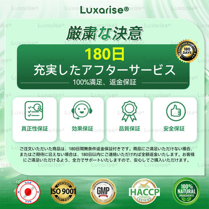 🧃公式ストア Luxarise® モリンガ＆ベルベリン 10-IN-1 高機能ナノマイクロニードルパッチ（1日1回、7日で変化を実感） 肥満・糖尿病・睡眠時無呼吸症候群・関節の悩み向け