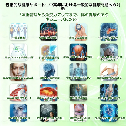 公式ストア Luxarise®🦮モリンガ＆ベルベリン 10-IN-1 高機能ナノマイクロニードルパッチ（1日1回、7日で変化を実感） 肥満・糖尿病・睡眠時無呼吸症候群・関節の悩み向け